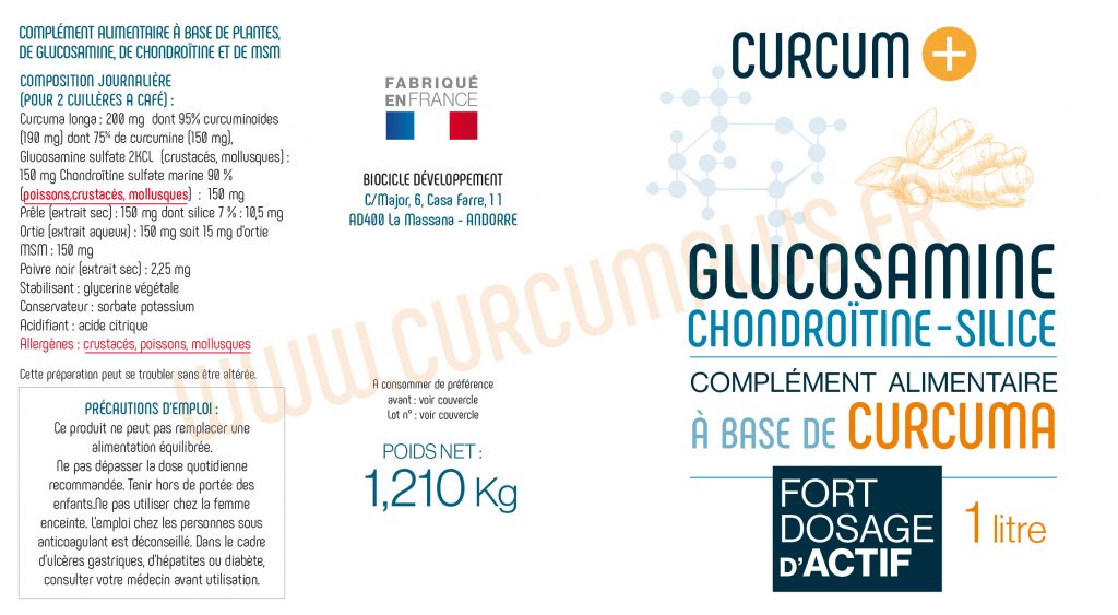 GLUCO CHONDRO CURCUM+ composition