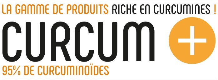 curcum+ riche en curcumines